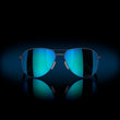 Prizm Sapphire Polarized Lenses, Satin Light Steel Frame