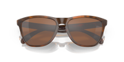 Prizm Tungsten Lenses, Matte Tortoise Frame