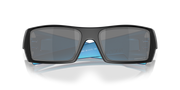 Prizm Black Polarized Lenses, Matte Black Frame