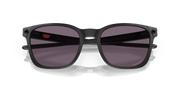 Prizm Grey Lenses, Matte Black Frame