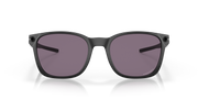 Prizm Grey Lenses, Matte Black Frame