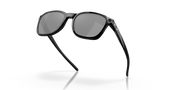 Prizm Black Polarized Lenses, Black Ink Frame