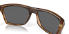 [Prizm Black Polarized Lenses, Matte Brown Tortoise Frame]