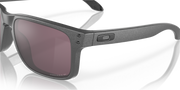 Prizm Daily Polarized Lenses, Steel Frame