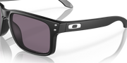 Prizm Grey Lenses, Matte Black Frame