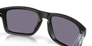 Prizm Grey Lenses, Matte Black Frame