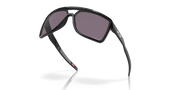 Prizm Grey Lenses, Black Ink Frame