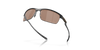 [Prizm Tungsten Polarized Lenses, Matte Carbon Fiber Frame]