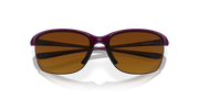 Brown Gradient Polarized Lenses, Raspberry Spritzer Frame