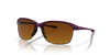 [Brown Gradient Polarized Lenses, Raspberry Spritzer Frame]