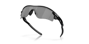 Prizm Black Lenses, Polished Black Frame