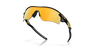 [Prizm 24K Polarized Lenses, Polished Black Frame]