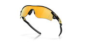 Prizm 24K Polarized Lenses, Polished Black Frame