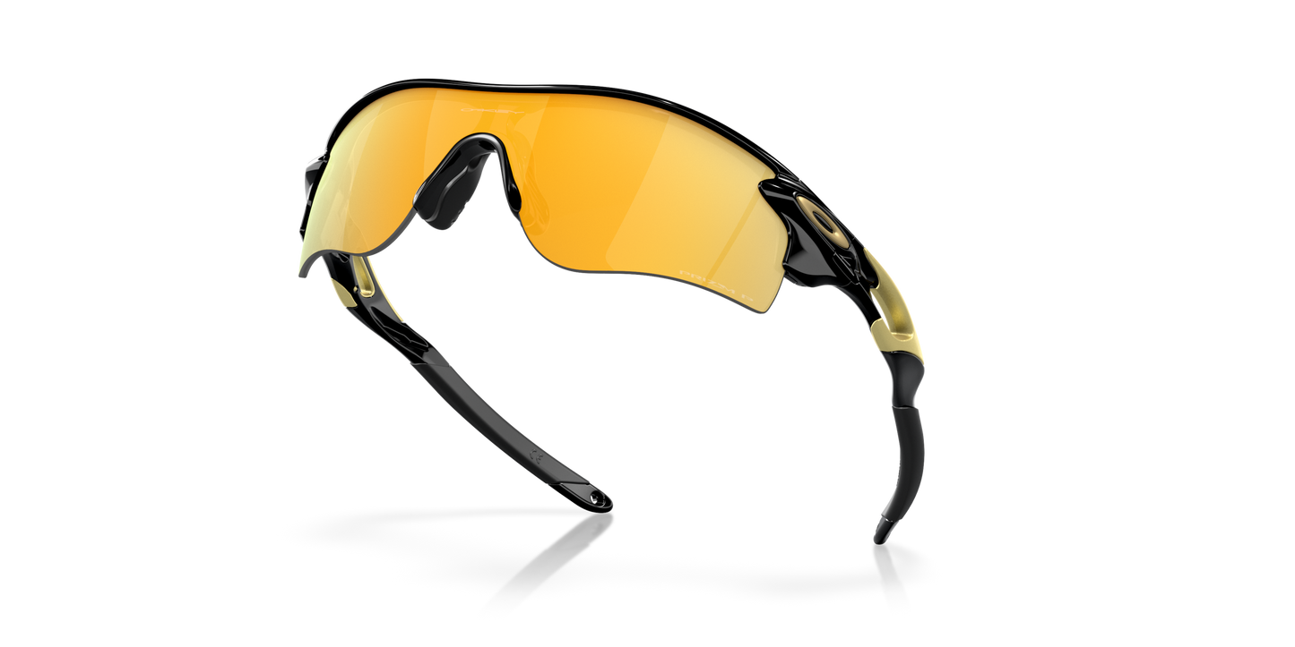 [Prizm 24K Polarized Lenses, Polished Black Frame]