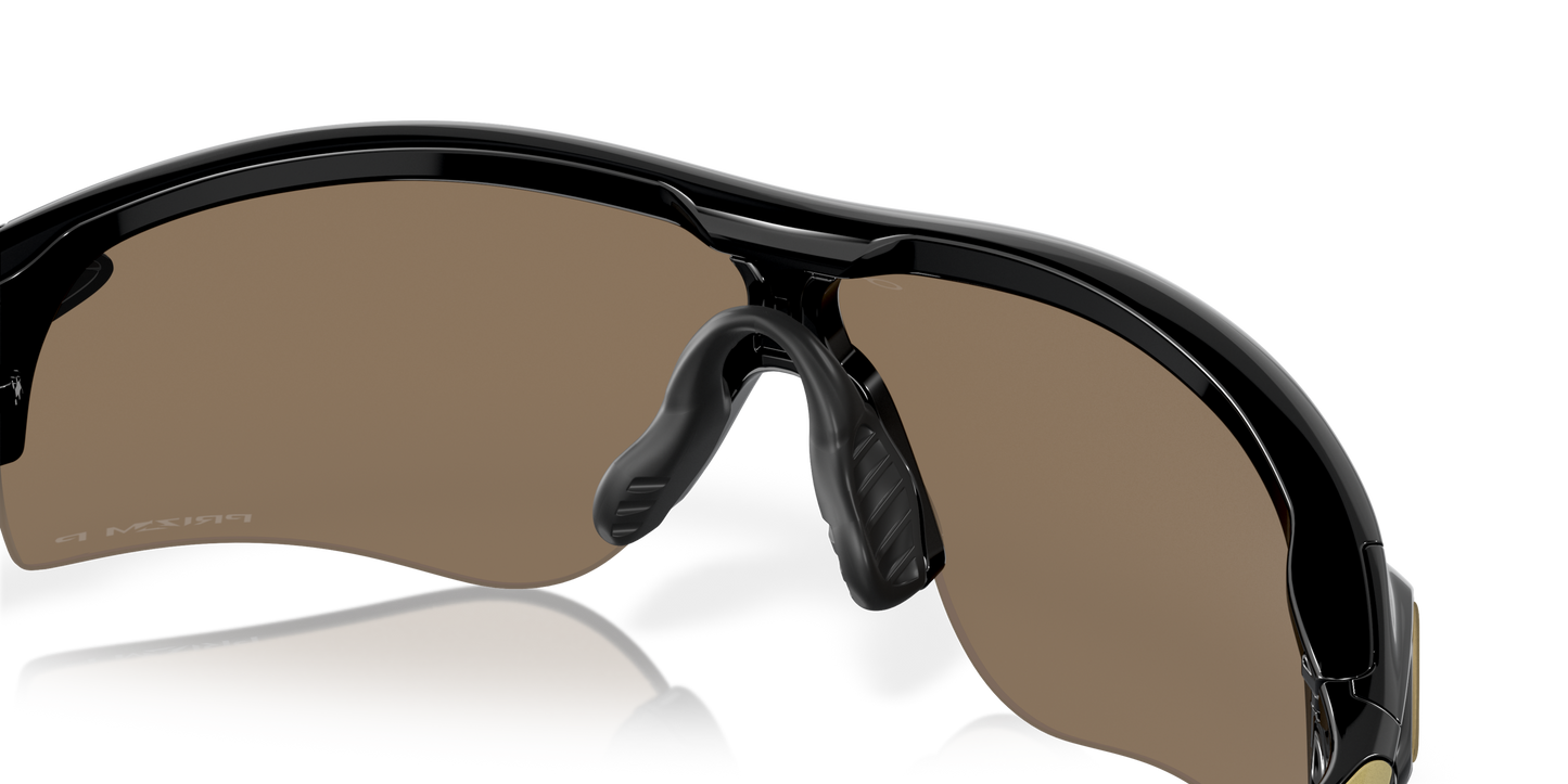 [Prizm 24K Polarized Lenses, Polished Black Frame]