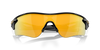 [Prizm 24K Polarized Lenses, Polished Black Frame]