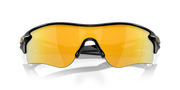 Prizm 24K Polarized Lenses, Polished Black Frame