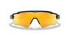 [Prizm 24K Polarized Lenses, Polished Black Frame]