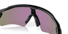 [Prizm Jade Polarized Lenses, Matte Black Frame]