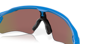 Prizm Sapphire Polarized Lenses, Matte Sapphire Frame