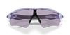 [Prizm Slate Lenses, Matte Lilac Frame]