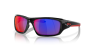 + Red Iridium Lenses, Polished Black Frame