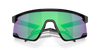 [Prizm Jade Lenses, Metal Black Frame]