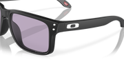 Prizm Slate Lenses, Matte Black Frame