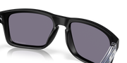 Prizm Grey Lenses, Matte Black Frame