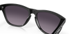 [Prizm Grey Gradient Lenses, Matte Black Frame]