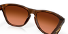 [Prizm Brown Gradient Lenses, Matte Brown Tortoise Frame]