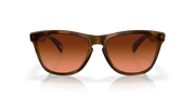 Prizm Brown Gradient Lenses, Matte Brown Tortoise Frame