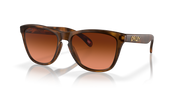 Prizm Brown Gradient Lenses, Matte Brown Tortoise Frame