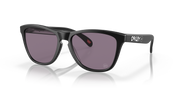 Prizm Grey Lenses, Matte Black Frame