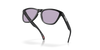 [Prizm Slate Lenses, Matte Black Frame]