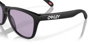 Prizm Slate Lenses, Matte Black Frame