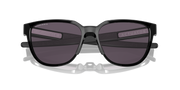 Prizm Grey Lenses, Polished Black Frame