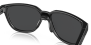 Prizm Black Polarized Lenses, Matte Black Frame