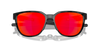 [Prizm Ruby Lenses, Black Tortoise Frame]