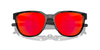 [Prizm Ruby Polarized Lenses, Black Tortoise Frame]