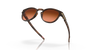 [Prizm Brown Gradient Lenses, Matte Brown Tortoise Frame]