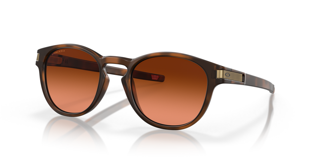 [Prizm Brown Gradient Lenses, Matte Brown Tortoise Frame]