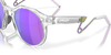 [Prizm Violet Lenses, Matte Clear Frame]