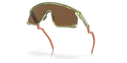 Prizm Bronze Lenses, Transparent Fern Frame