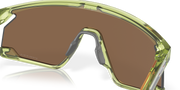 Prizm Bronze Lenses, Transparent Fern Frame