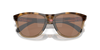 [Prizm Tungsten Polarized Lenses, Brown Tortoise/Brown Smoke Frame]