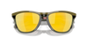 [Prizm 24K Polarized Lenses, Dark Brush Frame]