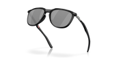 Prizm Black Polarized Lenses, Matte Black Frame