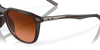 [Prizm Brown Gradient Lenses, Matte Rootbeer Frame]