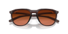 [Prizm Brown Gradient Lenses, Matte Rootbeer Frame]